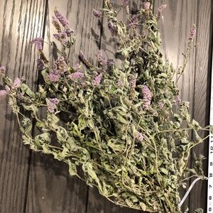 #7~Dried Flowering Herbs Bundle~Horsemint~For Crafts Wreaths & Farmhouse Decor